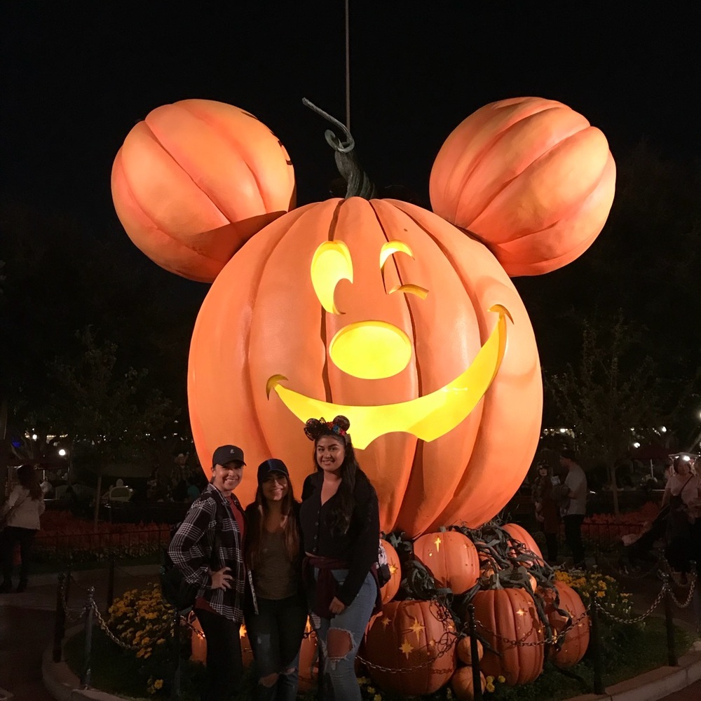 Meet your Posher, Gera